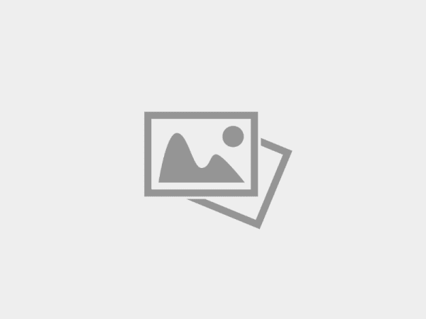 Депутаты продолжают оказывать помощь участникам СВО